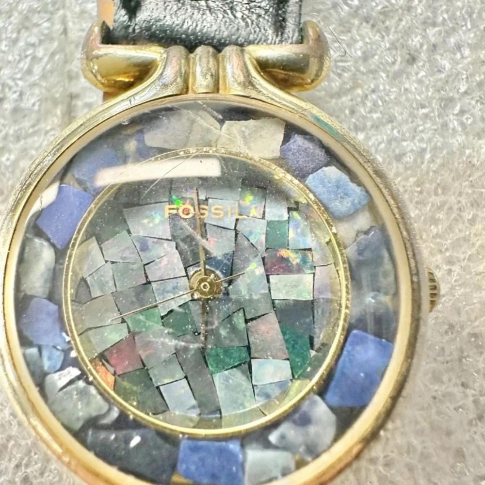 Fossil experience timeless